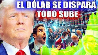 REVIENTAN LOS MERCADOS con el triunfo de Donald Trump  Kamala ofendió a sus seguidores [upl. by Osnofedli]