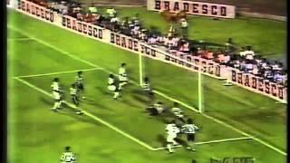 Santos 1 x 1 Botafogo Brasileiro 1995  José Carlos Araújo e Oscar Ulisses [upl. by Kcirederf]