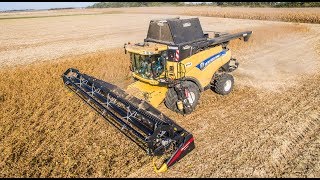 Geringhoff TruFlex in Action  Soybean Harvest 2018  New Holland CR9090 [upl. by Isiahi]