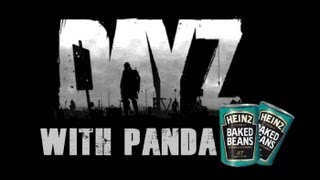 DayZ  DEATH WISH  Panda wants some action [upl. by Neroc]