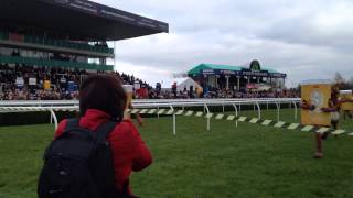 Pedi pulls off the hat trick at Uttoxeter Racecourse [upl. by Chu]