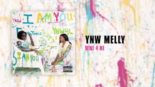 YNW Melly  Wine 4 Me Official Audio [upl. by Narmi]