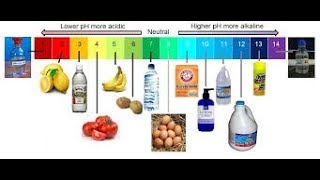 Ph Scales and Indicators [upl. by Mikol]