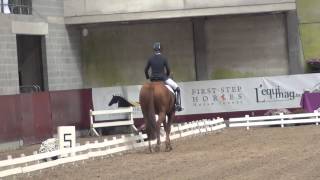 Robes Bahir amp Verena  Belgian championship young horses 2013  Gesves [upl. by Hayse]