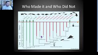 12 Billion Years Maine Geology Pt 9 Paleocene Miocene Eocene bird evolution Ice age [upl. by Rattray538]