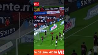 Pumas vence a Xolos ligamx pumas xolos resumen futbol [upl. by Elyrad]