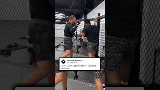 Justin Gaethje gets dropped in bodyshot challenge [upl. by Walston]