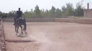 MOROCCO  Morocco Horse Riding  Morocco Travel  Vacation Tourism Holidays HD [upl. by Lohcin]