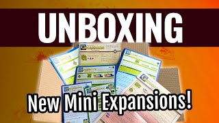 Big Carcassonne Unboxing  New mini expansions [upl. by Darla]