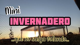 Mini INVERNADERO casero rápido y fácil con palets  apto para lugares ventosos [upl. by Bevan]