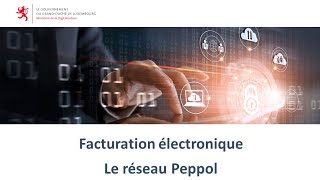 Facturation électronique 4 Le réseau Peppol [upl. by Sudaorb]