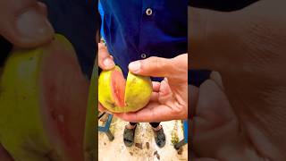 തായ്‌പ്പിങ്ക് പേരയ്ക്ക ചതിച്ചാശാനേ 😍😍😍😍😍fruitcutting fruit [upl. by Ettenawtna]