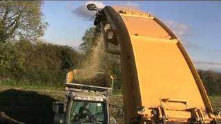 Maize 2010 Part2 OBrien Brothers Fendt 818 NH FR9080 Roofcam T6080johnwandersonagain [upl. by Venetia]