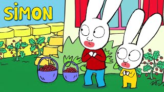 ¡Simón y Gaspard en la misión de fresas  Simón  Episodios Completos Temp4 1h  Dibujos animados [upl. by Ilenna]