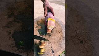 agritools farmer life tonglufeng agriculture agritool youtubeshorts viral [upl. by Acnairb249]