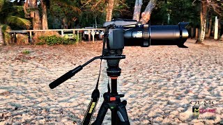 Nikon P1000 zoomzoom mic test fail on zoom mic 4K 30p [upl. by Leinahtam]