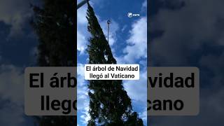 El árbol de Navidad llegó al Vaticano [upl. by Nelak]