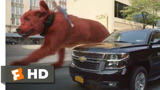 Clifford the Big Red Dog 2021  Cliffords Car Chase Scene 910  Movieclips [upl. by Byrd255]