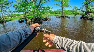 Most Important Tournament of the year Fishing The Chickahominy River [upl. by Manup545]