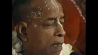 Watch Ecstatic Kirtan by Srila Prabhupada [upl. by Nimajneb274]