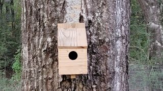 Huge profit with a quick and easy bird house selling woodworking projects [upl. by Yemrej]