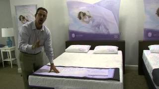 Sealy Optimum Radiance Gold Mattress Information [upl. by Eseeryt]