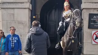 Acting strange around the horse staring at the guard horse freaks out horseguard [upl. by Saito411]