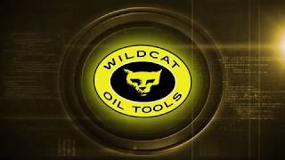 Wildcats XpressDrill Wellbore Departure System [upl. by Allayne]