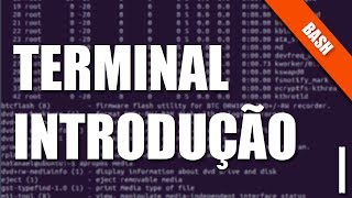 Bash e Terminal Linux  I  Familiarizandose [upl. by Leban172]