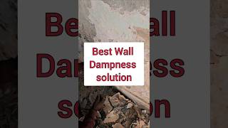 wall dampness solution  wall dampness treatment shorts ytshorts dampness [upl. by Hutchinson379]