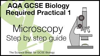 AQA Biology Practical 1 Microscopy Walkthrough  Full Method  Exam Help [upl. by Yahsat]