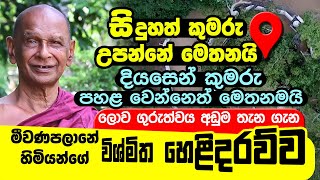 සිදුහත් කුමරු උපන් තැන දියසෙන් පහළ වෙයිද Meewanapalane Siri Dhammalankara himi  Budun Upan Deshaya [upl. by Atikihc]