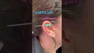 இங்கெல்லாம் காது குத்தலாமா Cartilage piercing  Dr Isacc Abbas [upl. by Preciosa]