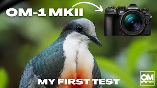 OM System OM1 Mkii First Impression and Test Results [upl. by Esened]