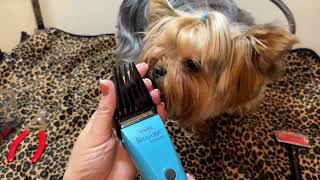 Wahl Bravura Lithium CordCordless Pet Clipper Kit Review [upl. by Anabal]