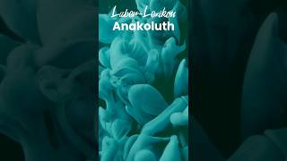 Anakoluth  Laber Lexikon [upl. by Dyol898]