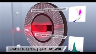 Mr H and HumaCount 5L  Automated Hematology Analyzer – Laser Technology [upl. by Nylknarf]