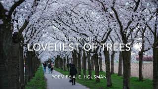 Loveliest of Trees the cherry now original composition [upl. by Stanislaus]