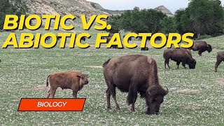 Biotic vs Abiotic Factors [upl. by Acysej218]