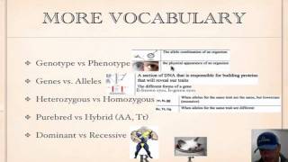 Genetics Vocabulary Tutorial [upl. by Jacy]