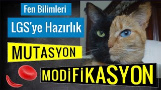 MUTASYON vs MODİFİKASYON ● [upl. by Boyce495]