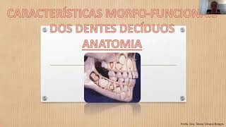 Aula endodontia na dentição decídua parte 1 [upl. by Eldorado411]