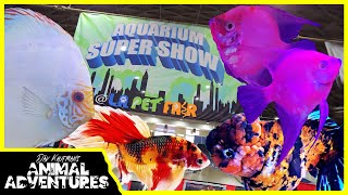 AQUARIUM SUPER SHOW POMONA LA Pet Fair [upl. by Sim]