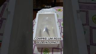 COMPREI UM PEIXE PELA INTERNET [upl. by Rebeka]