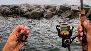 Fishing Live Crabs On Rock Jetty JUMBOS [upl. by Suiram]