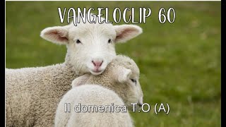 60 Vangeloclip  II Domenica TO  Anno A [upl. by Zinck]