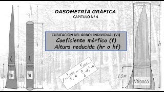 CUBICACIÓN DE ÁRBOLES  COEFICIENTE MÓRFICO Y ALTURA REDUCIDA [upl. by Ainex]