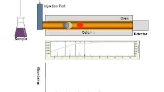 Gas Chromatography Animation [upl. by Layor]