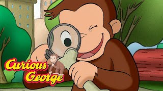 George Finds A Dinosaur Bone 🐵 Curious George 🐵 Kids Cartoon 🐵 Kids Movies [upl. by Deana660]