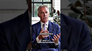 Are You Conscientious  Jordan Peterson [upl. by Iras]